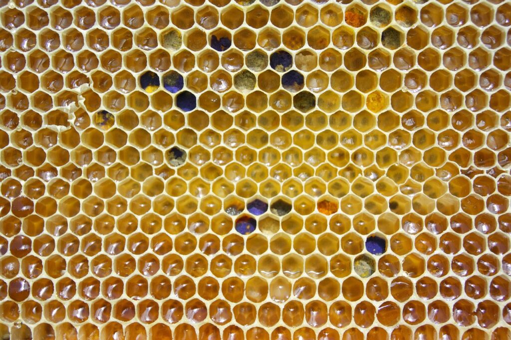 honey, comb, pollen-2441542.jpg